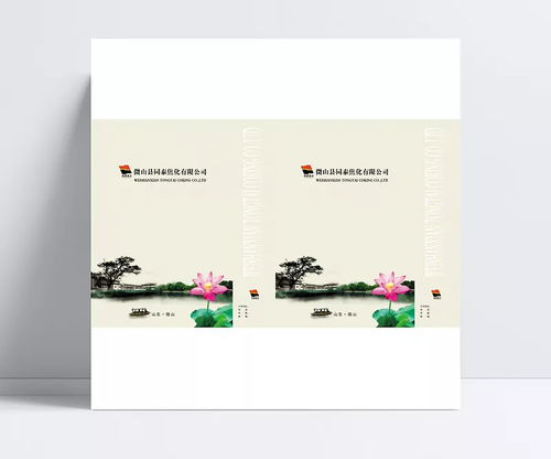 中國傳統(tǒng)水墨風格手提袋包裝設計